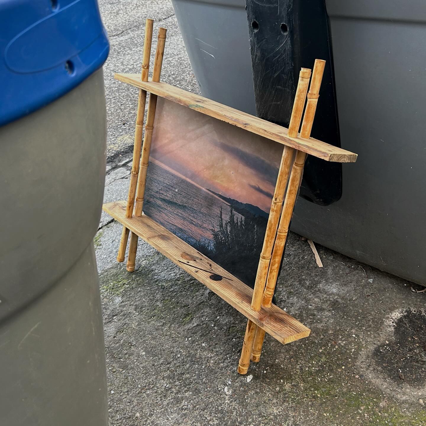 La imagen de enero: Ventana al verano