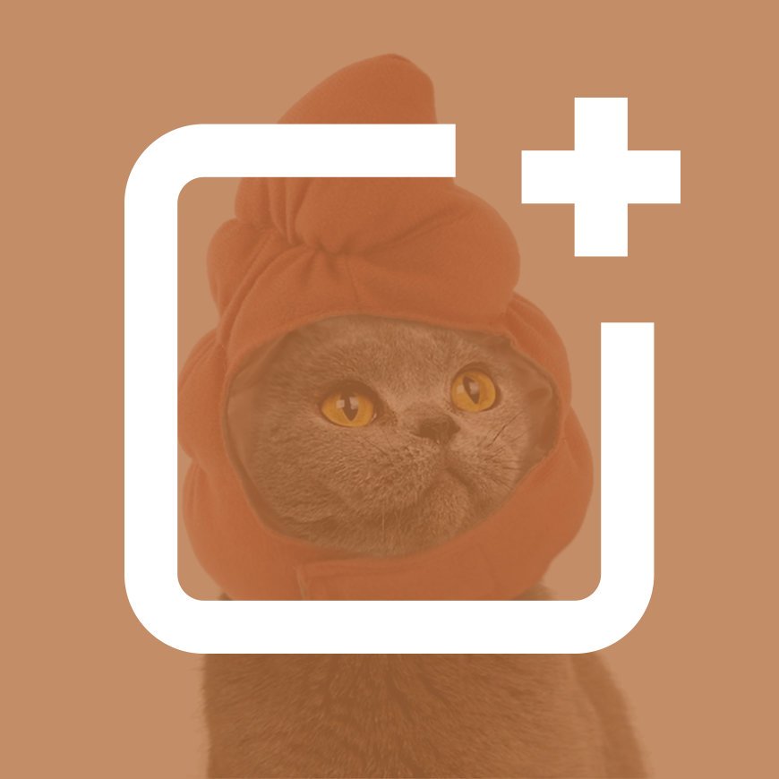 El post de diciembre: Feliz ano